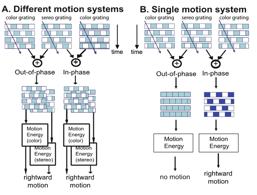 attentional-and-perceptual-information-processing-4
